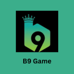 B9 Game