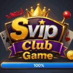 SVip club