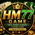 HM77
